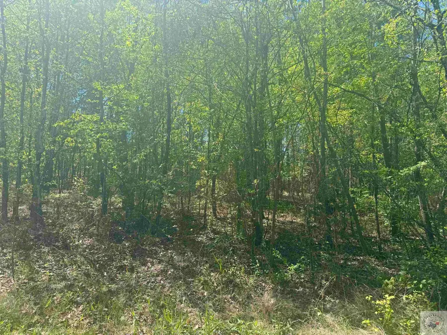 6889 Fm 1399, Linden, TX 75563 - Image #2