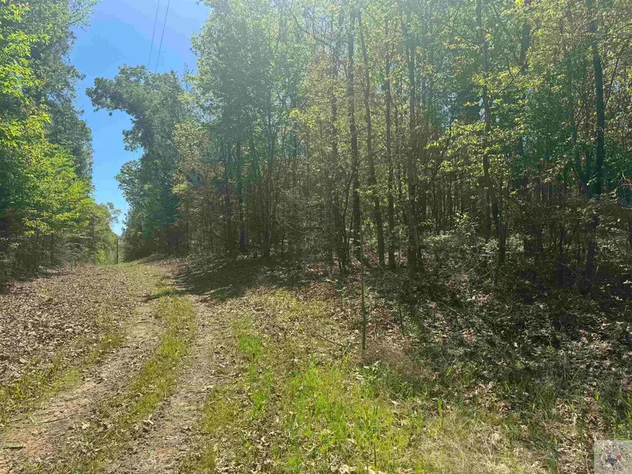 6889 Fm 1399, Linden, TX 75563 - Image #3