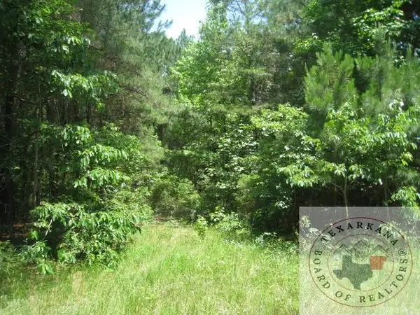 TBD Cr 2113, Queen City, TX 75559