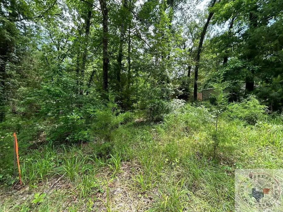 TBD Navajo Dr., Avinger, TX 75630 - Image #2