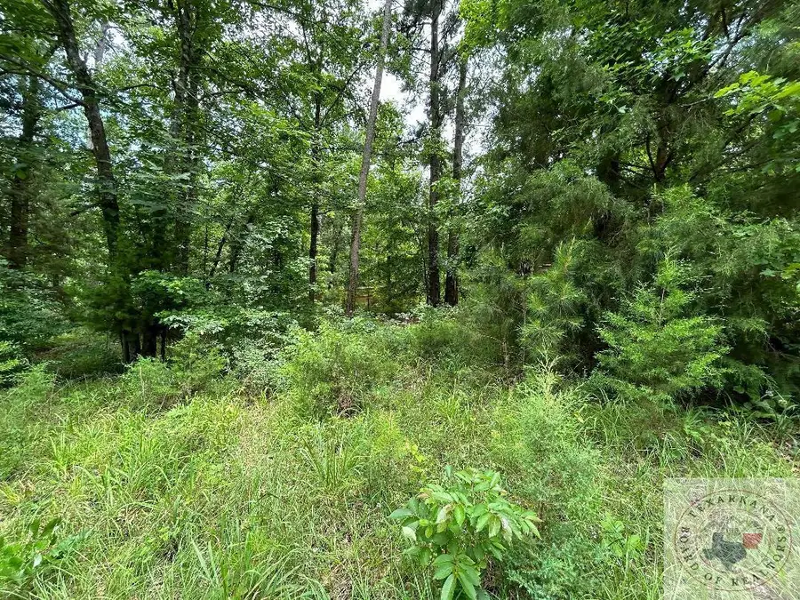 TBD Navajo Dr., Avinger, TX 75630 - Image #3