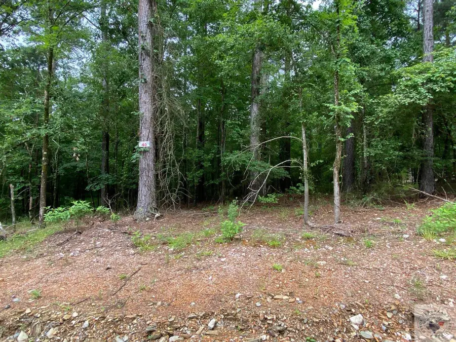 Lot 40 Hidden Acres, Broken Bow, OK 74728 - #3