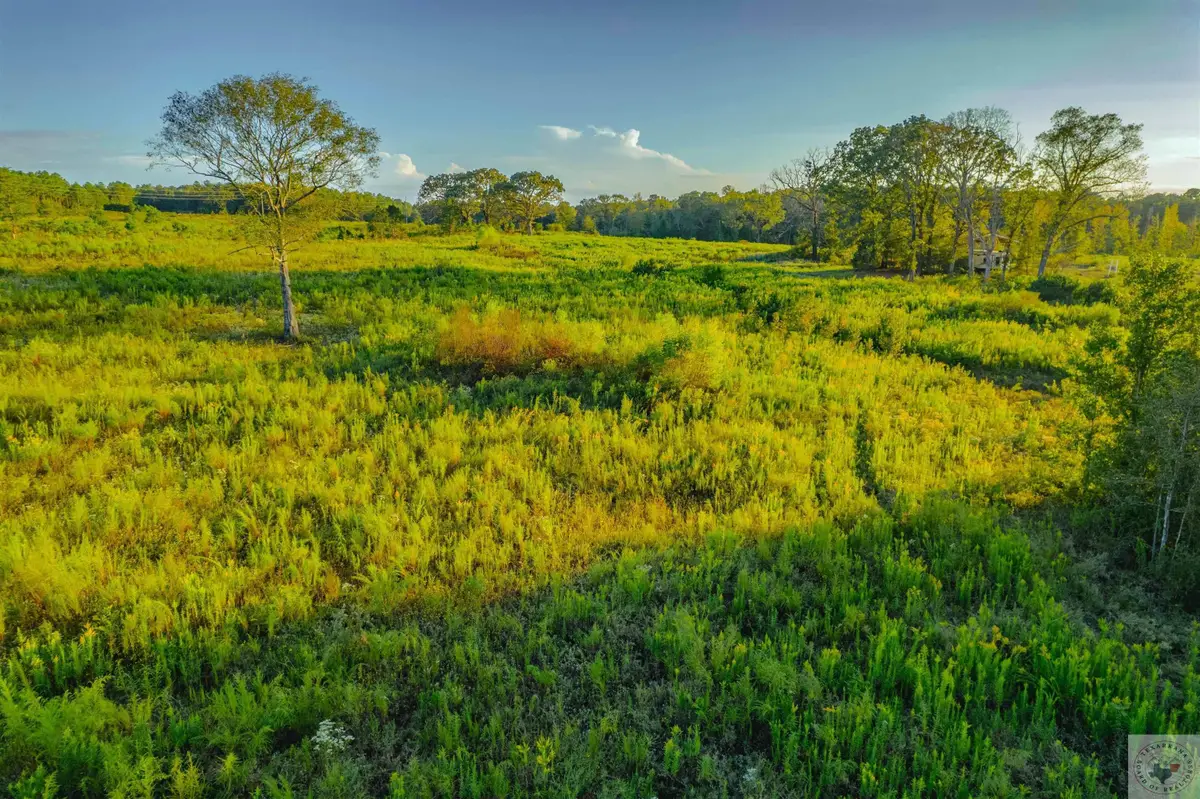 1225 County Road 4230, Bivins McLeod, TX 75503 - Image #1