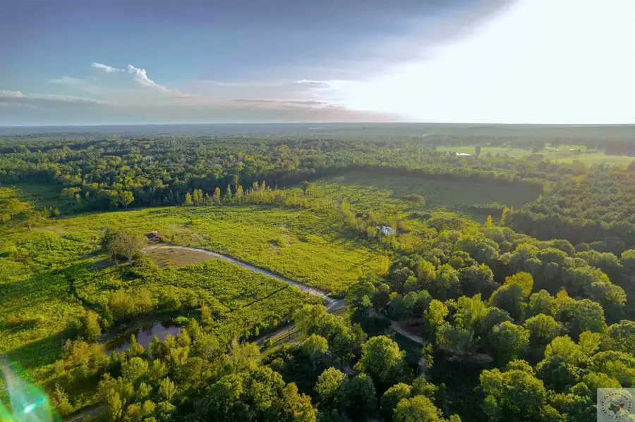 1225 County Road 4230, Bivins McLeod, TX 75503 - Image #2