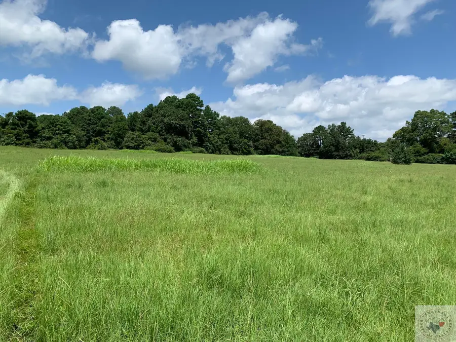 TBD Fm 785, Atlanta, TX 75551 - Image #2