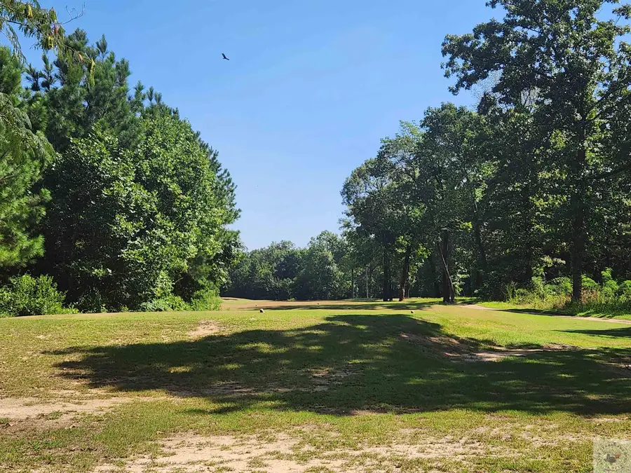 Lot 2 Oak Grove Place, New Boston, TX 75570 - Image #2