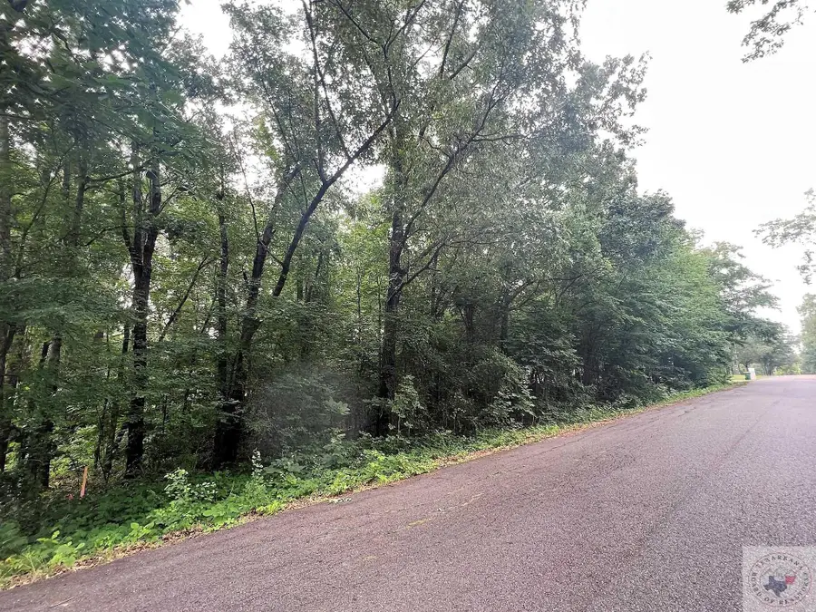 Lot 15 Lakeview Dr, Texarkana, TX 75503 - Image #3