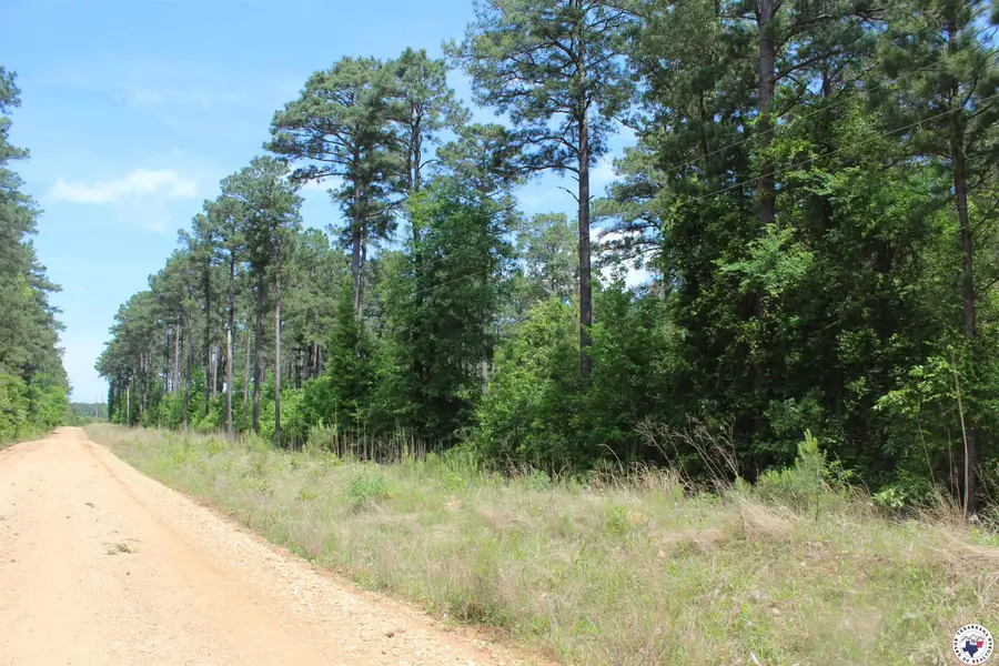 201 Nevada 25, Rosston, AR 71858 - Image #3