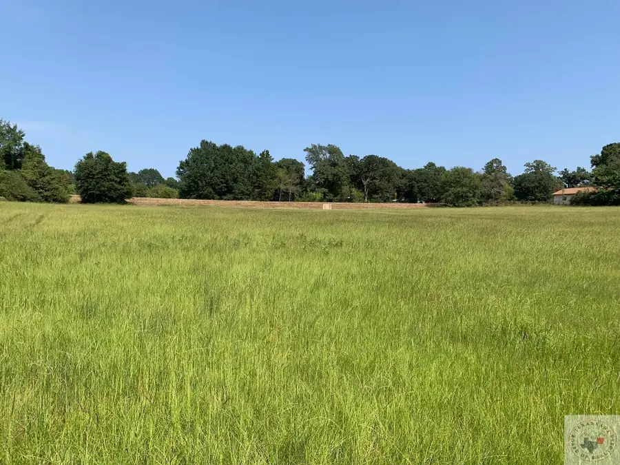 TBD Fm 2328, Atlanta, TX 75551 - Image #3