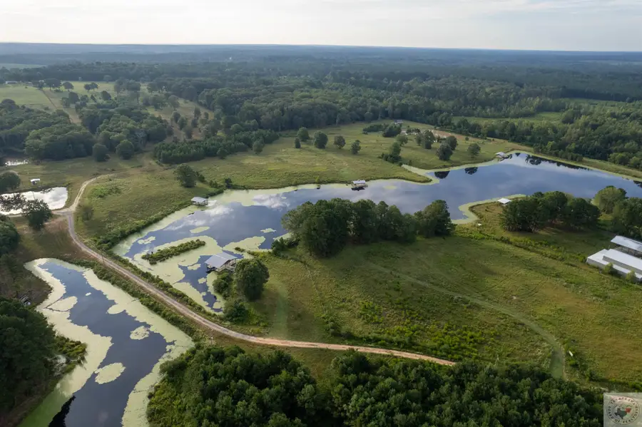 Lake Cou (lot 5) Tx-77, Atlanta, TX 75551 - Image #2