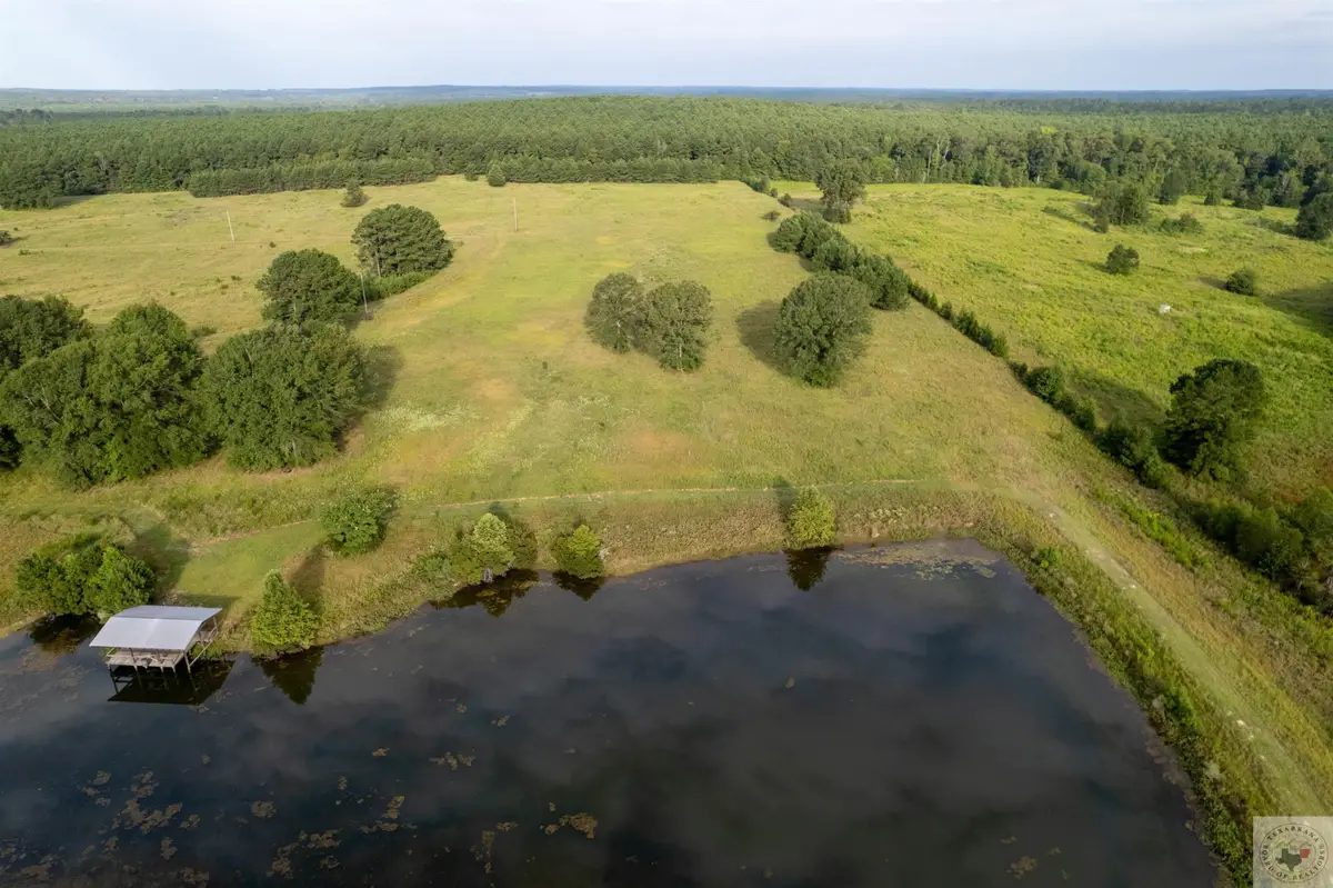 Lake Cou (lot 14) Tx-77, Atlanta, TX 75551 - Image #1