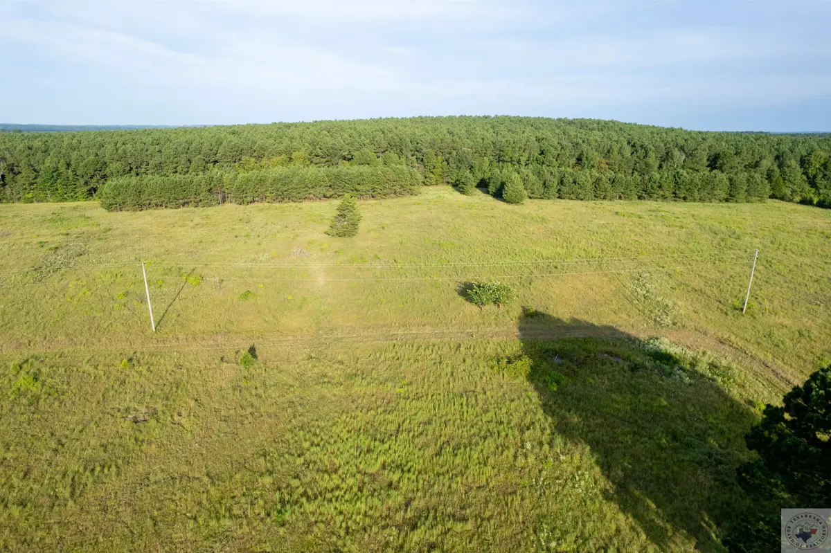 Lake Cou (lot 16) Tx-77, Atlanta, TX 75551 - Image #1