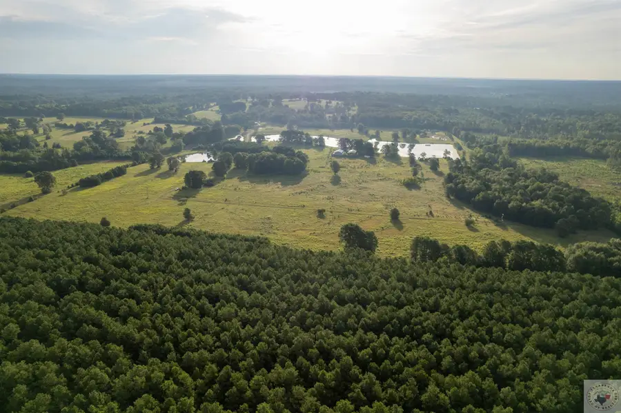 Lake Cou (lot 16) Tx-77, Atlanta, TX 75551 - Image #2