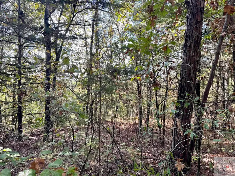 TBD County Road 1118, Linden, TX 75563 - Image #2