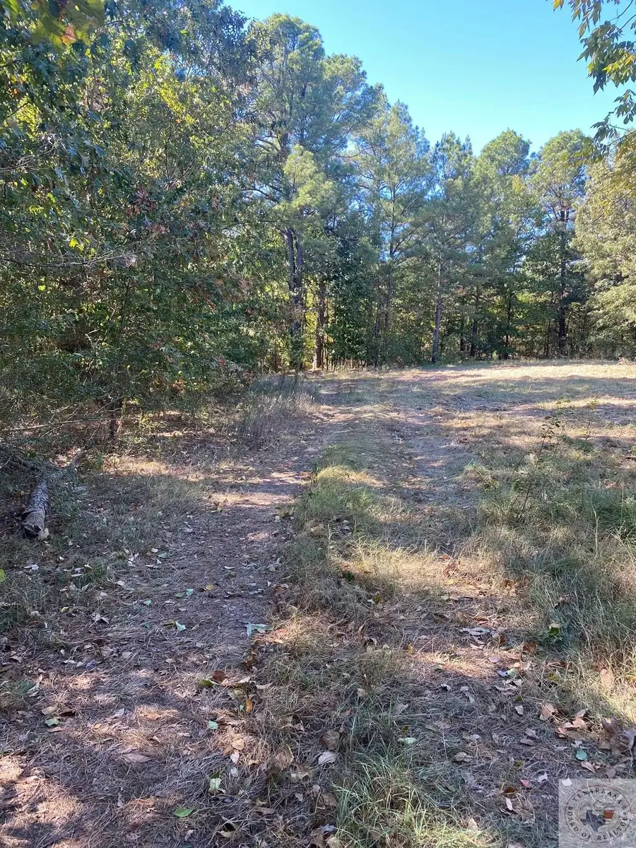 3707 Mcdonald Lane, Texarkana, AR 71854 - Image #3