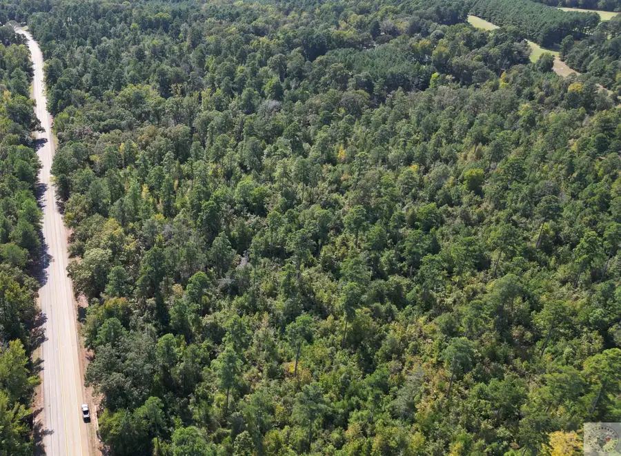 TBD Cr 4122, Bivins, TX 75555 - Image #2