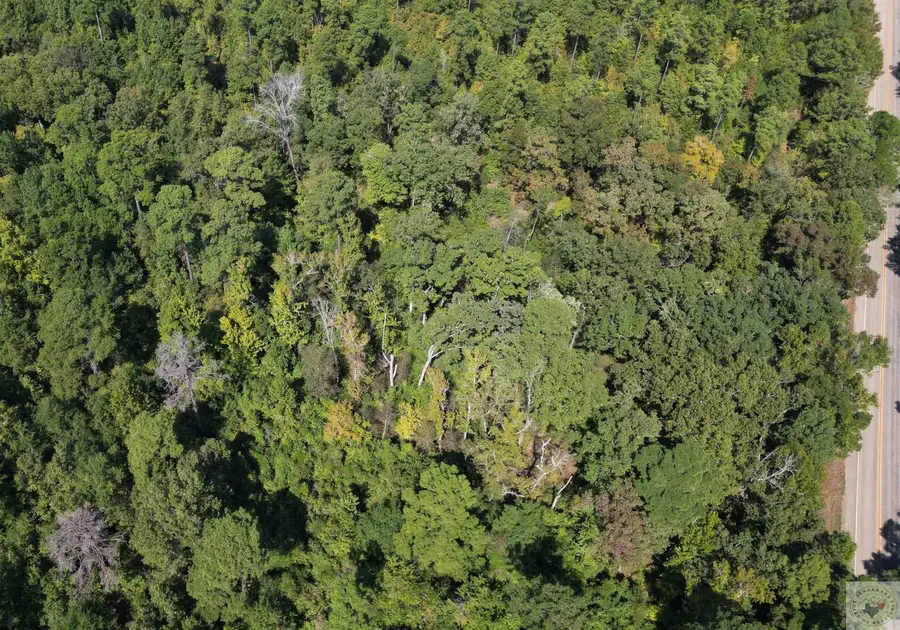 TBD Cr 4122, Bivins, TX 75555 - Image #3