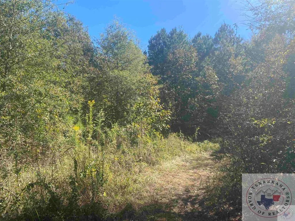 0 Cr 3301, De Kalb, TX 75559 - Image #1