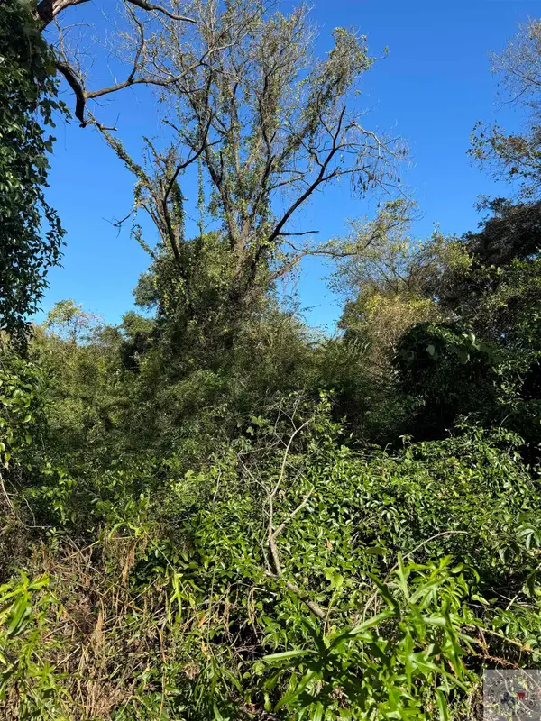 0 Tbd2 Capp, Texarkana, TX 75501