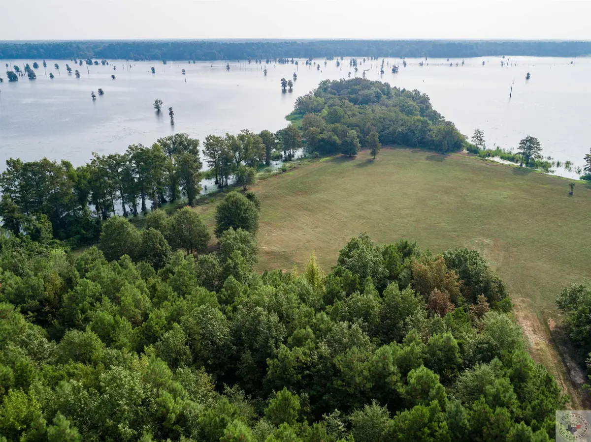 TBD Collier Road, Lewisville, AR 71845 - Image #1