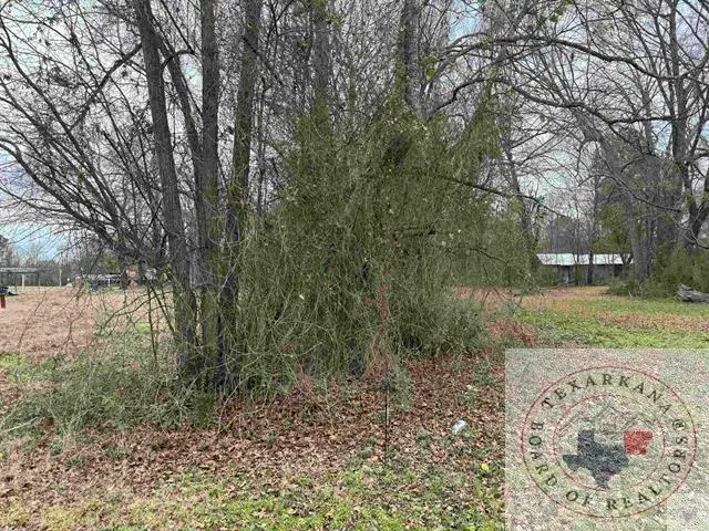 0 Tbd 1 Ann St, Texarkana, TX 75501 - Image #1