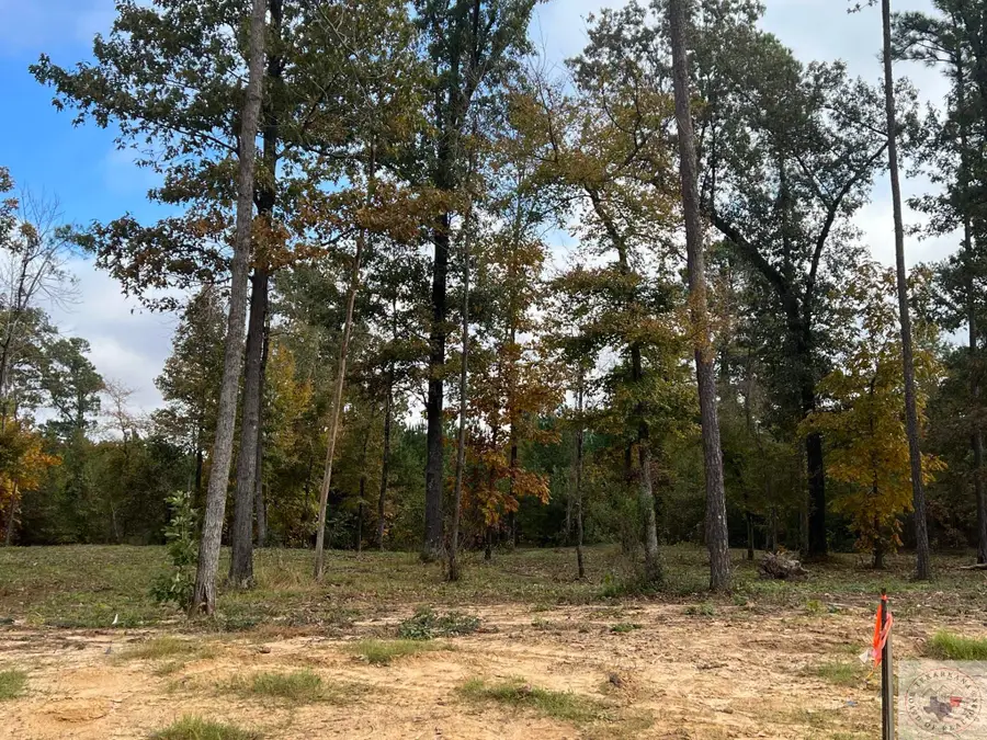 3517 Northern Red Oak Trail, Texarkana, AR 71854 - Image #3