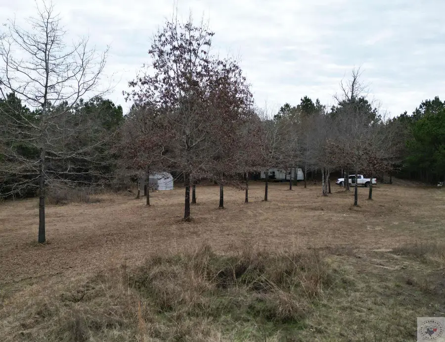 TBD FM 1841, Bivins, TX 75555 - Image #2