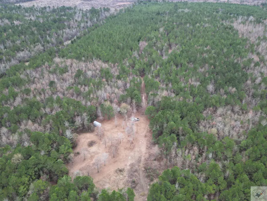 TBD FM 1841, Bivins, TX 75555 - Image #3