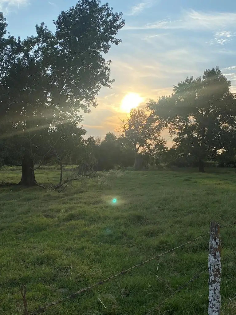 Fm 1840, De Kalb, TX 75559 - Image #1