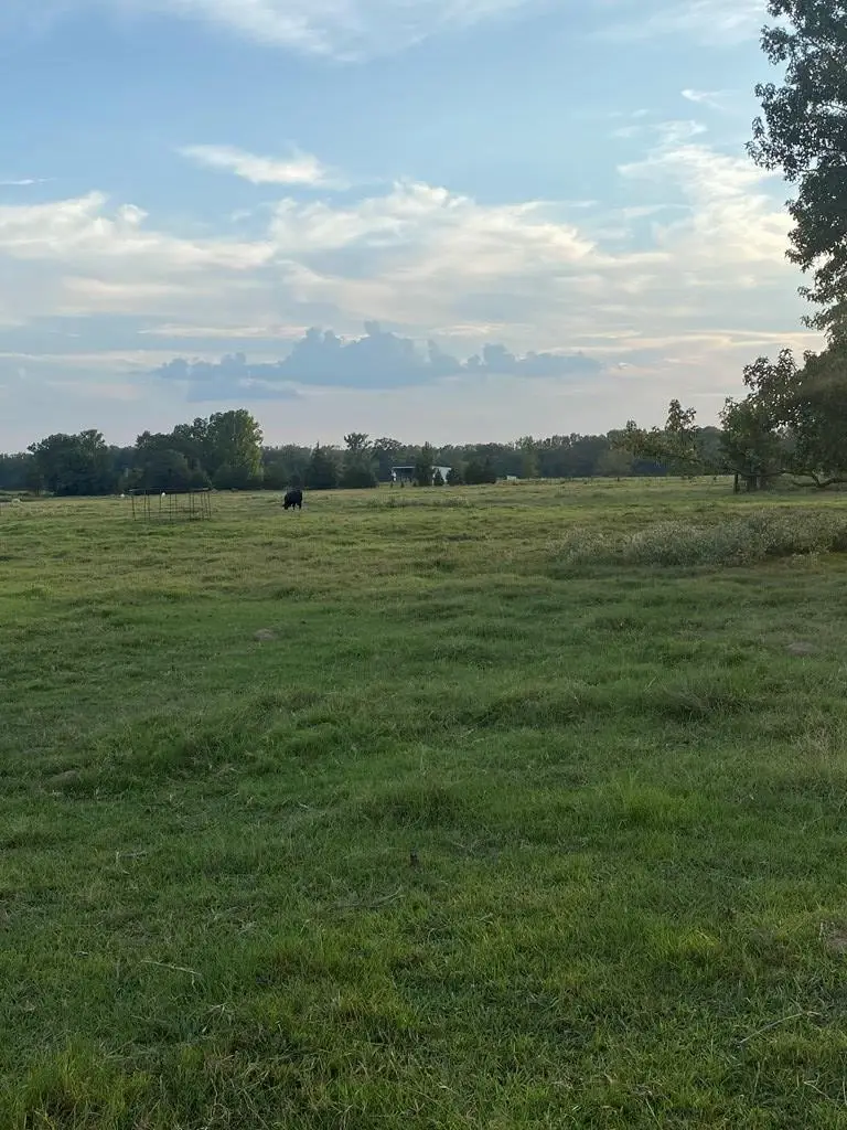 Fm 1840, De Kalb, TX 75559 - Image #2