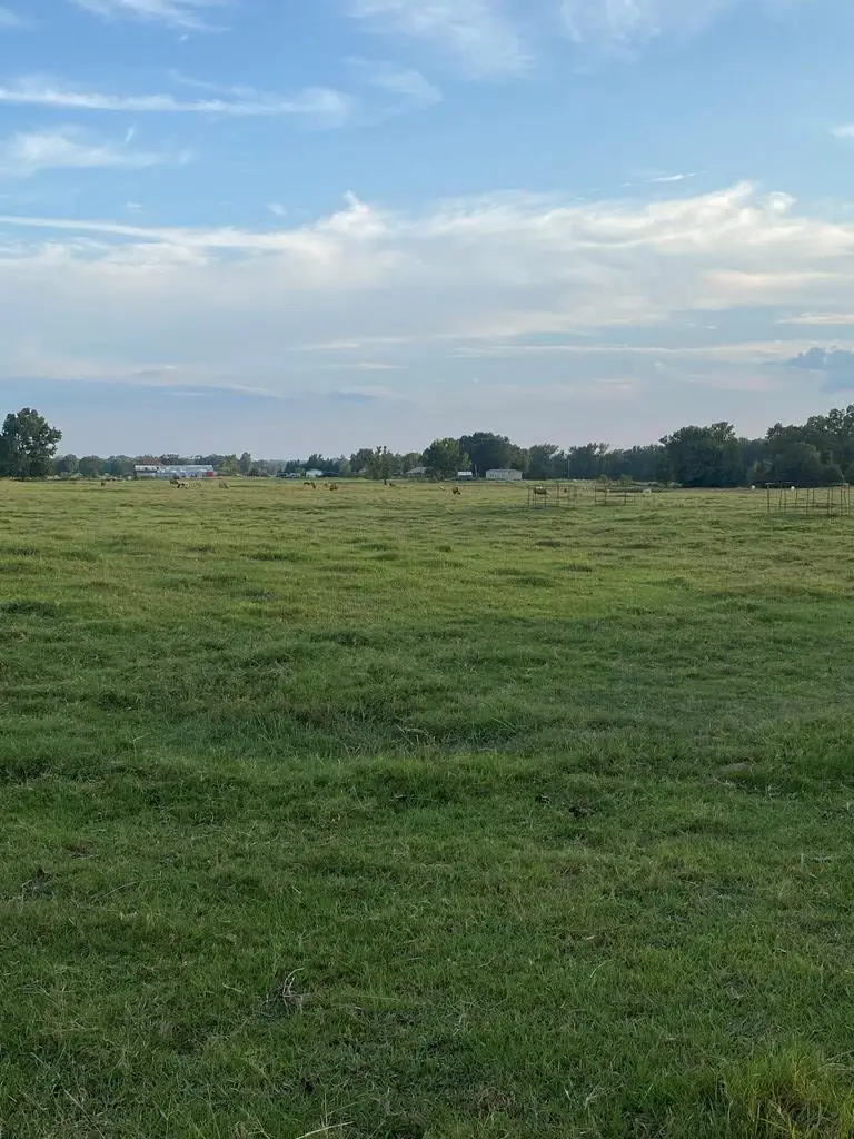 Fm 1840, De Kalb, TX 75559 - Image #3