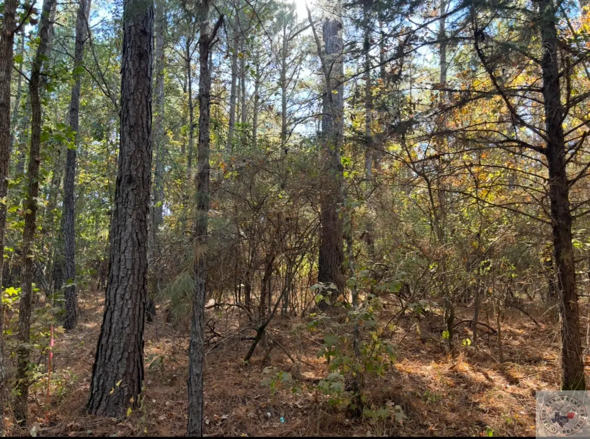 TBD CR 4 And Tx Hwy 43, Atlanta, TX 75551 - Image #1