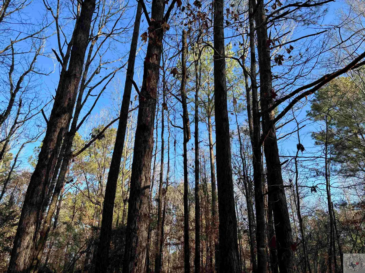 tbd County Road 1784, Jefferson, TX 75657 - #1