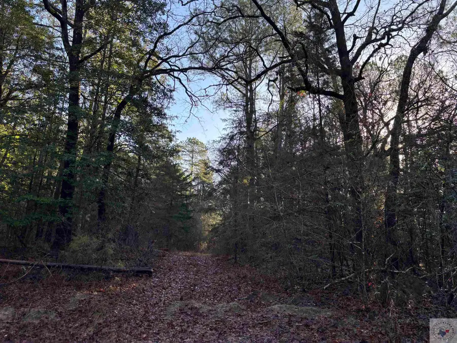 tbd County Road 1784, Jefferson, TX 75657 - #3