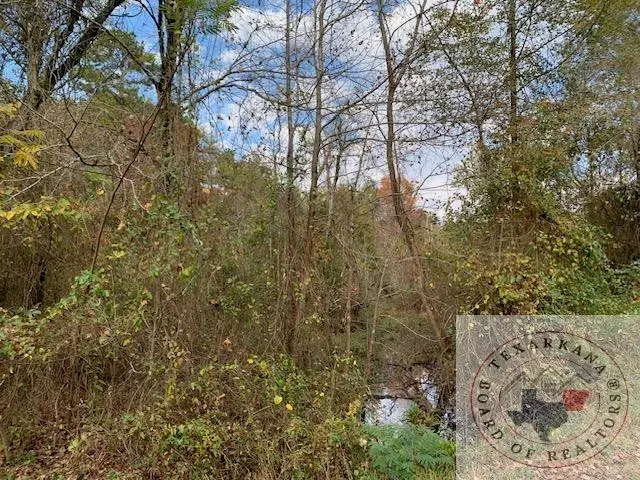 TBD 2nd Cr 4217, Simms, TX 75574 - Image #3