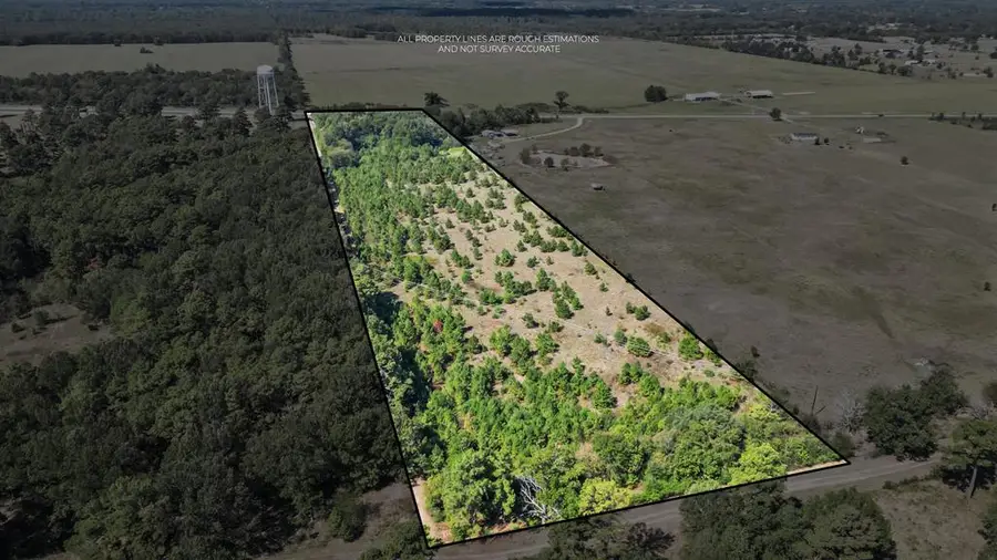 3141 Hwy 98, New Boston, TX 75570 - Image #2