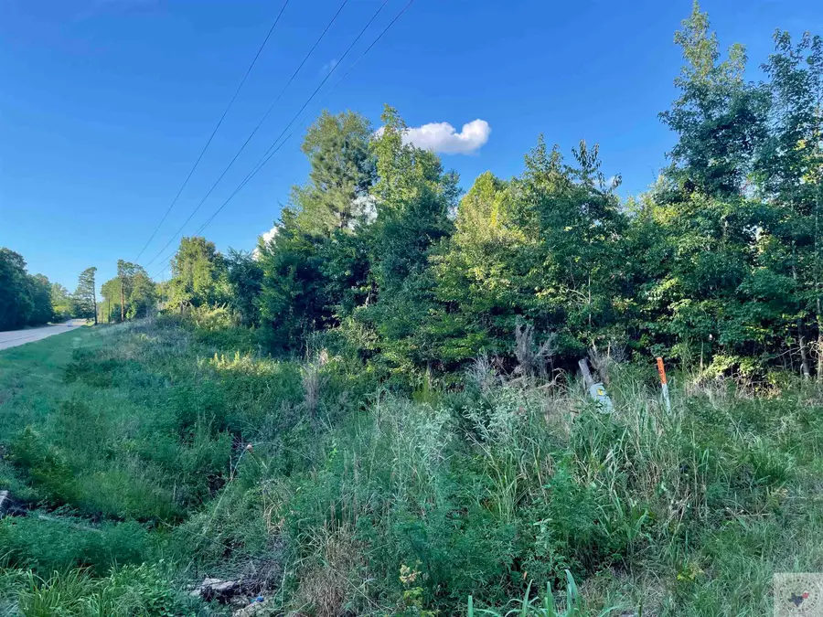 TBD Highway 71, Doddridge, AR 71834 - Image #3