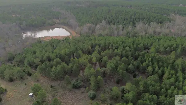 TBD County Road 1634, Linden, TX 75563