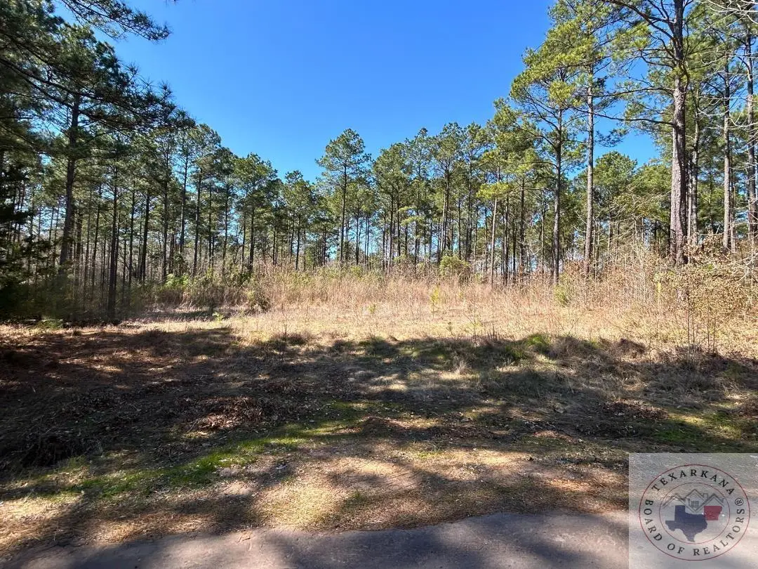 60 ac TB Cr 1453, Linden, TX 75563 - Image #1