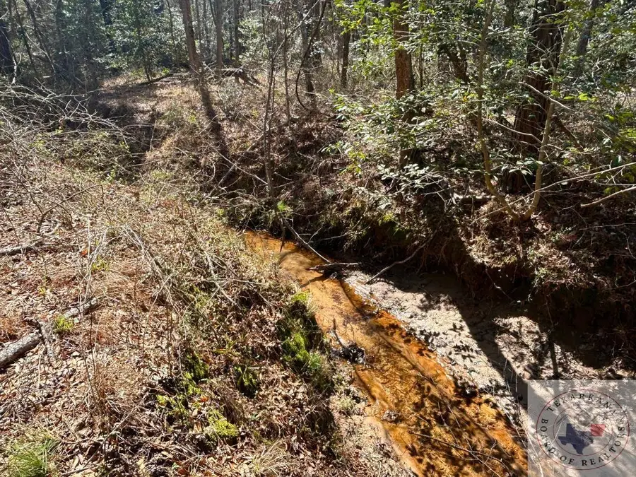 60 ac TB Cr 1453, Linden, TX 75563 - Image #3