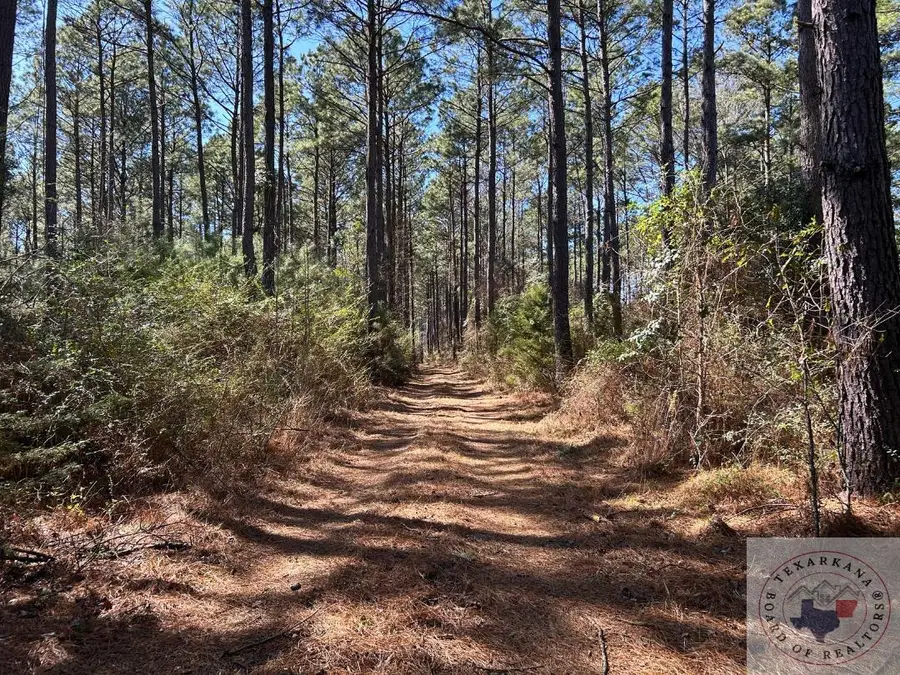 TBD Cr 1453, Linden, TX 75563 - #2