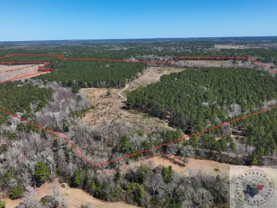 TBD Cr 1453, Linden, TX 75563 - #3