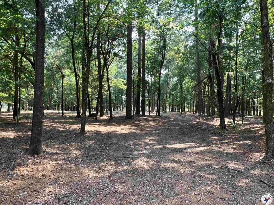 0 Cr 3201 & Cr 3203, De Kalb, TX 75559 - Image #2