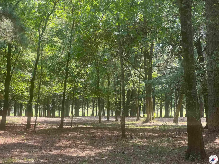 0 Cr 3201 & Cr 3203, De Kalb, TX 75559 - Image #3