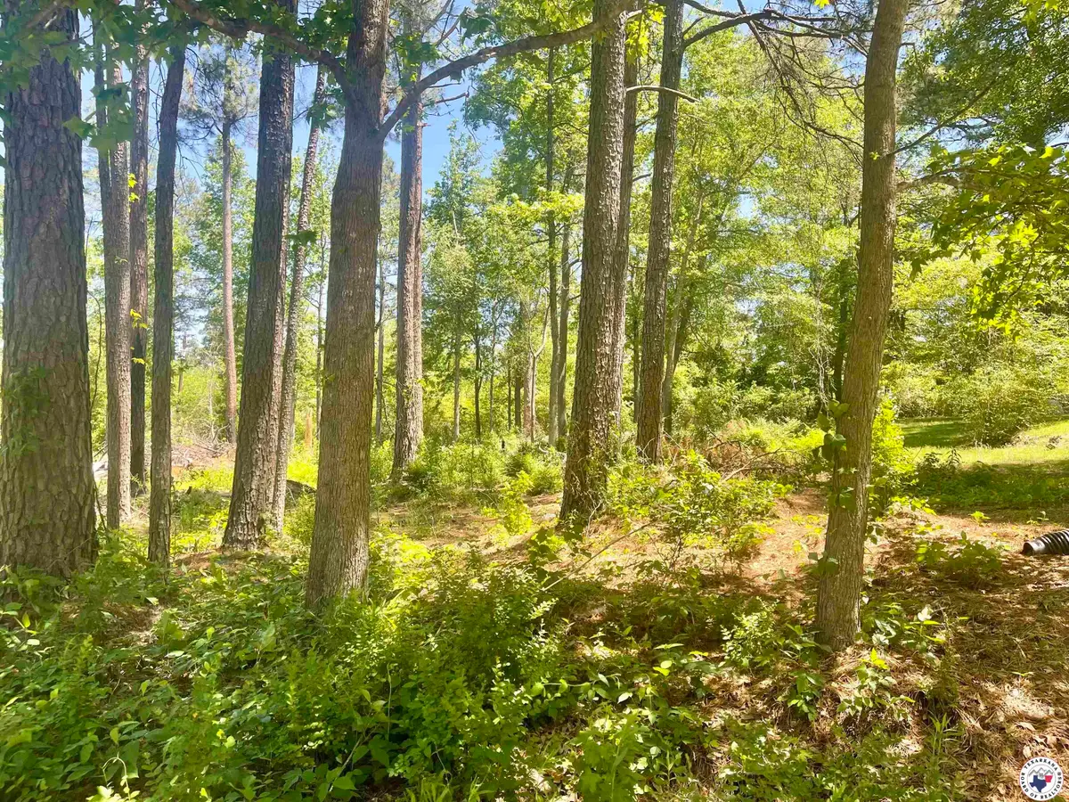 Lot 46 Cr 4793, Atlanta, TX 75551 - Image #1