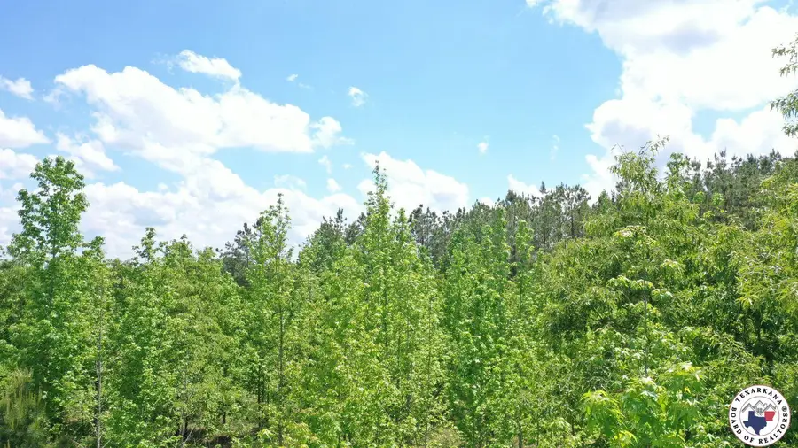 0000 Cr 3773, Queen City, TX 75572 - Image #3