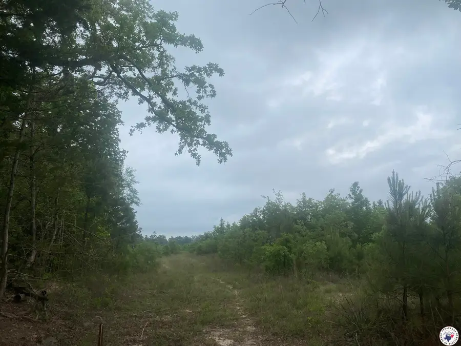 Cr 3217, Atlanta, TX 75551 - Image #2