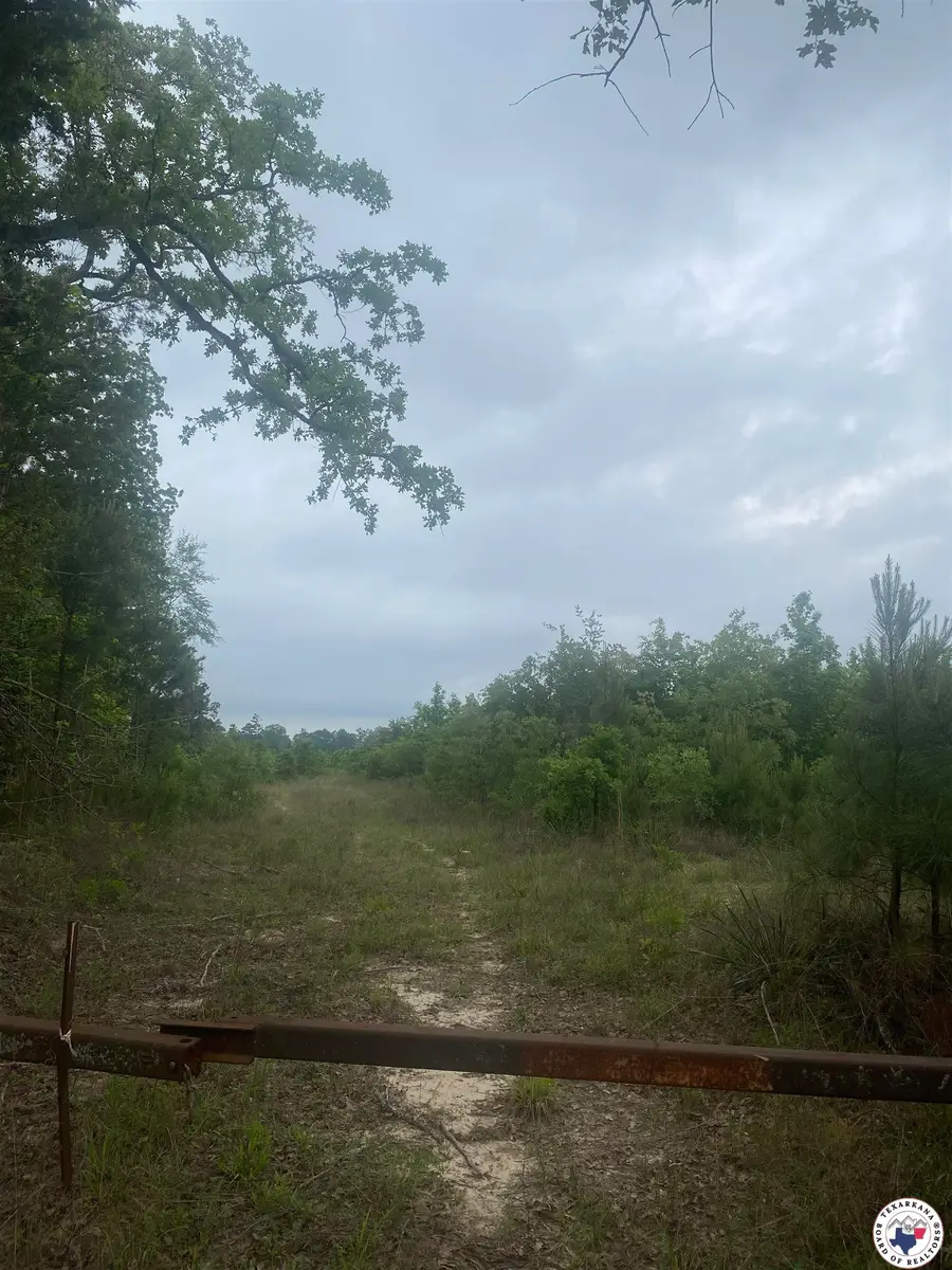 Cr 3217, Atlanta, TX 75551 - Image #3