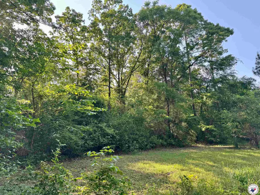 2274 Cr 4120, Simms, TX 75567 - Image #2