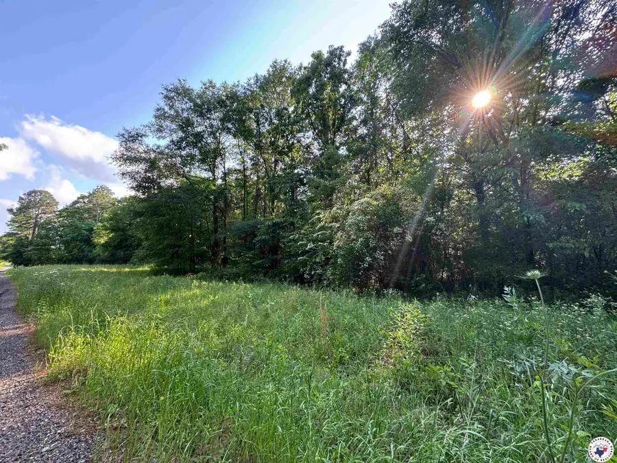 2274 Cr 4120, Simms, TX 75567 - Image #3